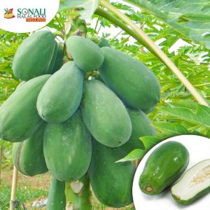 Green Papaya (Fresh)