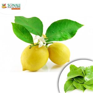 Lemon Leaf (Imported From Thailand)