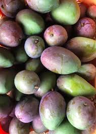 Green Raw Mango,  Fresh, Okinawa